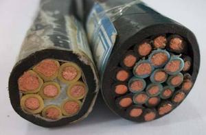 耐高温防腐计算机电缆DJFPFP