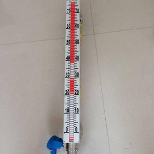 顶装式远传磁翻板液位计