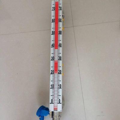 顶装式远传磁翻板液位计