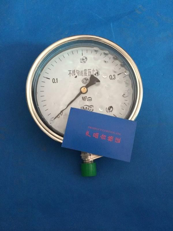 耐震压力表