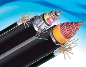 防鼠防蚁环保电缆FY-KYJYP32