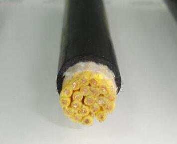 WZYS-BYGE防水防蚁软电缆