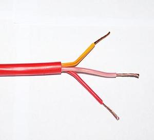 HCHQK硅橡胶绝缘护套电缆