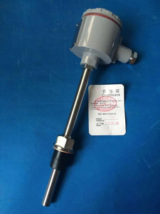 3351DP双远传差压变送器