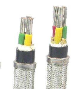 CEF90/DA 裸钢丝编织铠装船用电力电缆