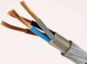 CEV90/DA 裸钢丝编织铠装船用电力电缆