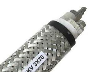 CJV80/DA 裸铜丝编织铠装船用电力电缆