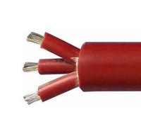 BPGGP 变频器软电缆