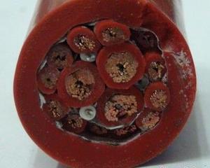 WDZB-GGBPP2变频电缆