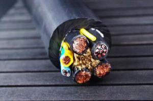 移动PUR拖链用Can-bus总线电缆