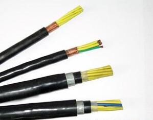 HAVP 特种计算机电缆