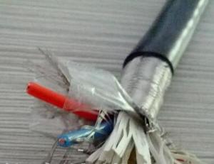 HYA2F 氟塑料计算机电缆